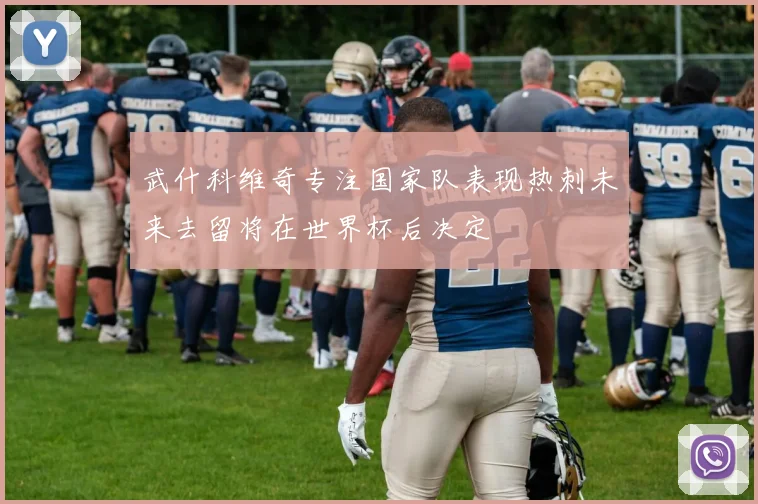 武什科维奇专注国家队表现热刺未来去留将在世界杯后决定